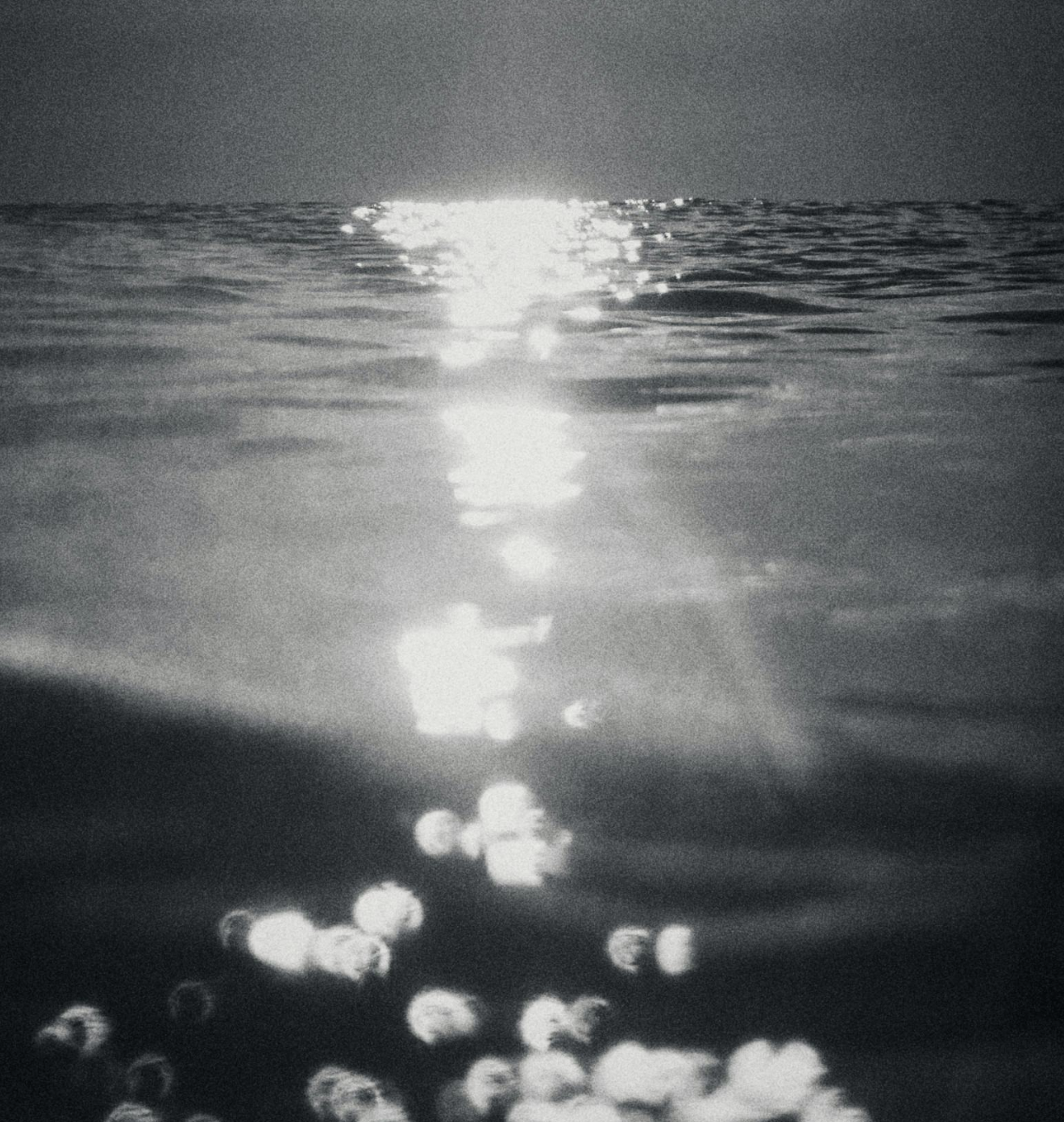 LERT Shelving Systems